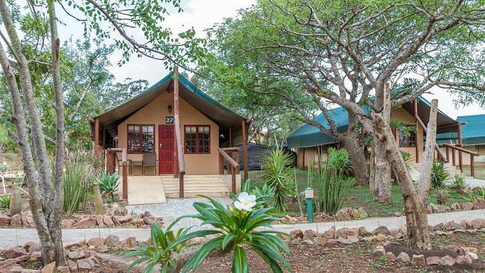 Tented accommodation at Hemingway Tented Camp