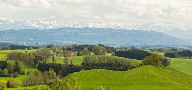 Das ganze Panorama.