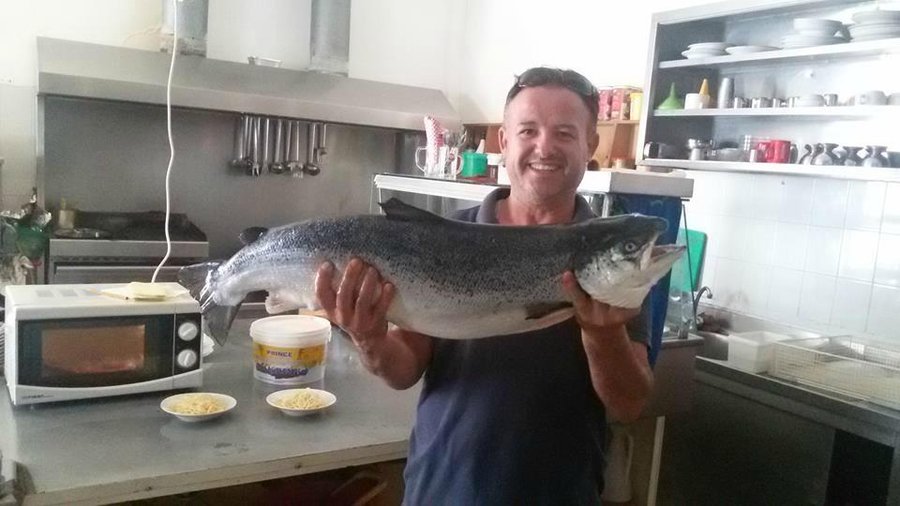 fresh salmon