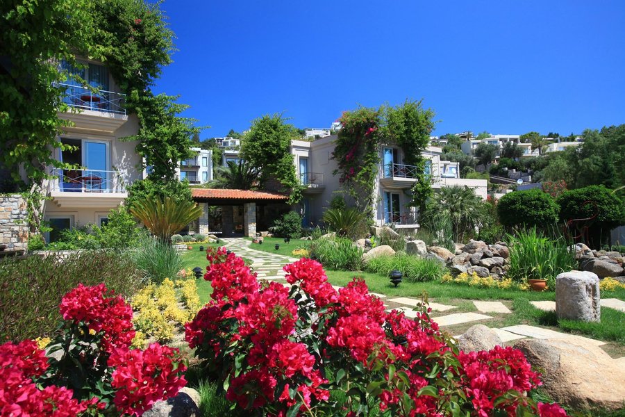 https www tripadvisor com tr hotel review g298660 d295817 reviews no 81 hotel golturkbuku bodrum district mugla province turkish aegean coast html