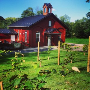 Broad Run Cheesehouse and Swiss Heritage Winery Shops in Amish country near  Dover Ohio Swiss architecture Stock Photo - Alamy