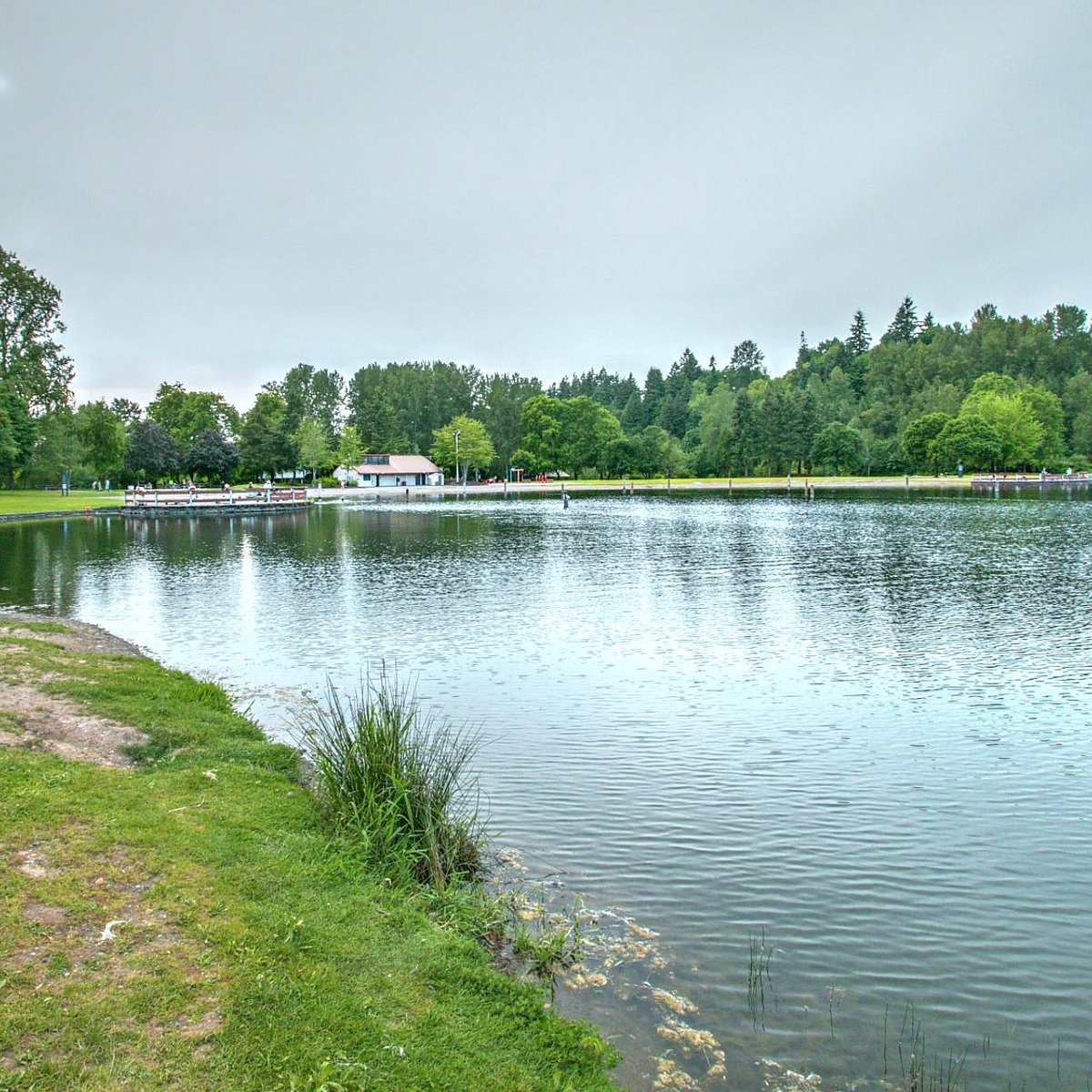 SALMON CREEK PARK (Vancouver): All You Need to Know