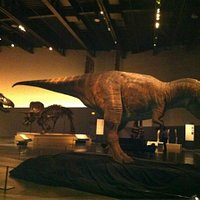 Exposición dinosaurios