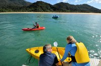 abel tasman charters day tours