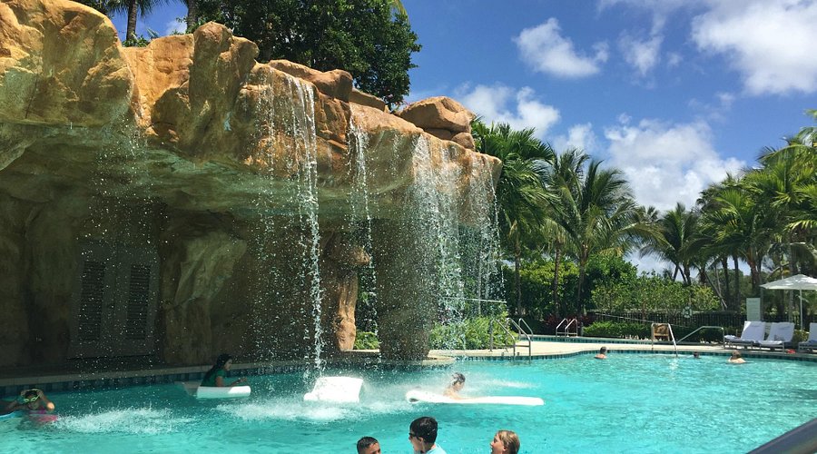 Pool party in full swing! - Picture of Kimpton Surfcomber Hotel, Miami Beach  - Tripadvisor