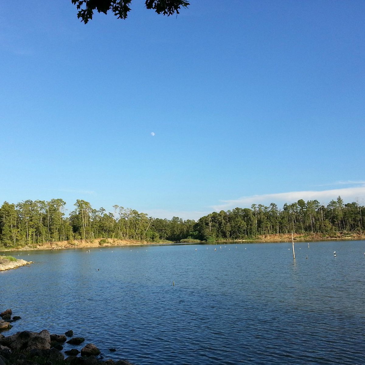 Lake Livingston Vacation Rentals with Lake Access - Texas, United