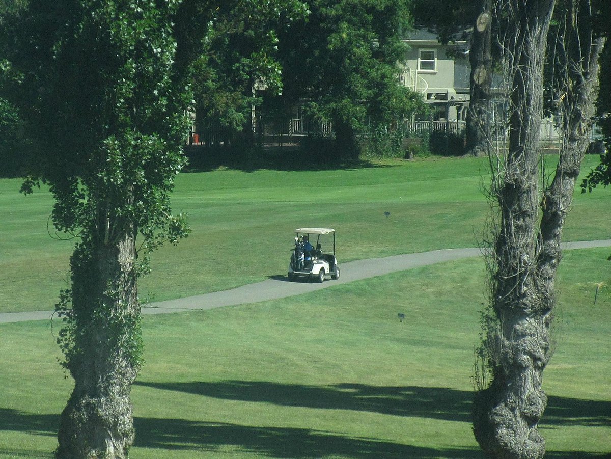 Lake Chabot Golf Course (Oakland) All You Need to Know BEFORE You Go