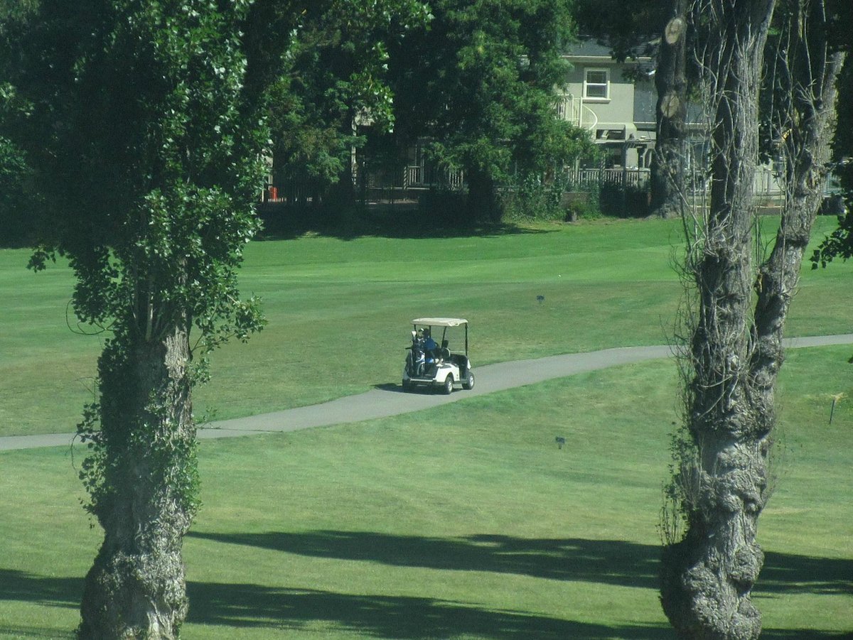 Lake Chabot Golf Course (Oakland) All You Need to Know BEFORE You Go