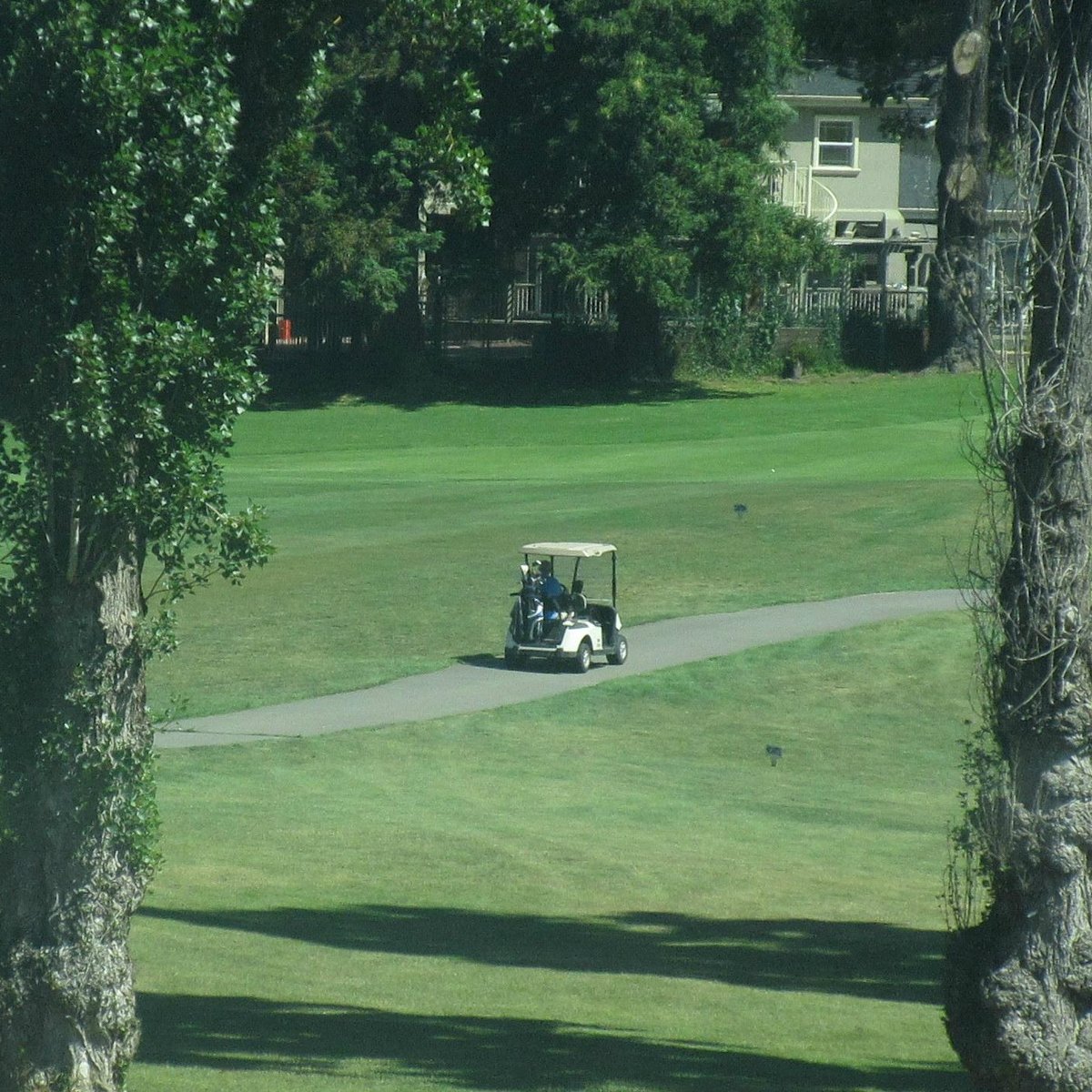 LAKE CHABOT GOLF COURSE (Oakland) Ce qu'il faut savoir