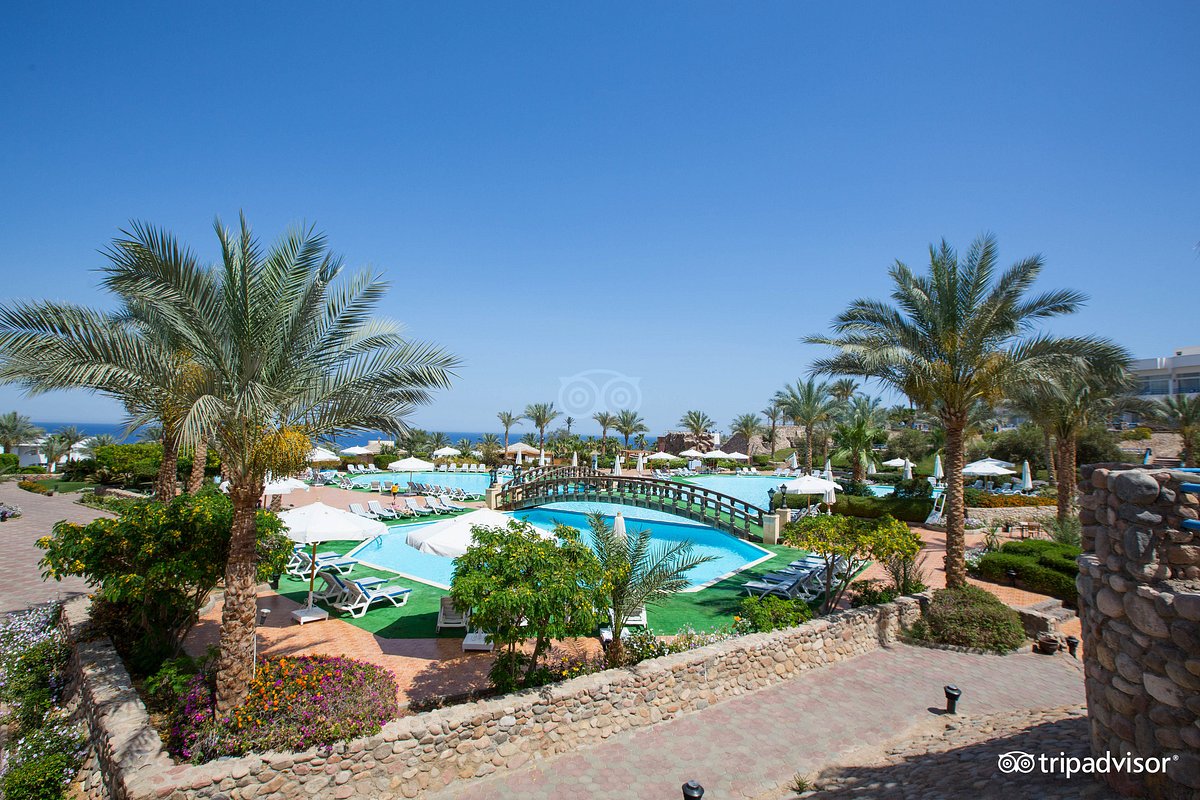 queen sharm resort beach 4 египет шарм эль шейх отель