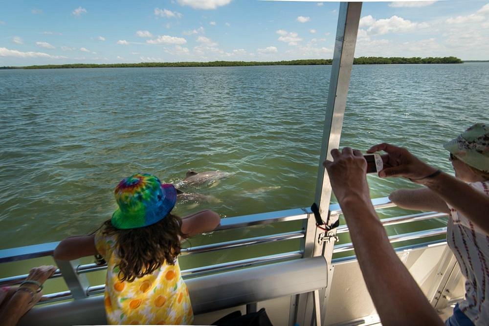 dolphin boat tours fort myers fl