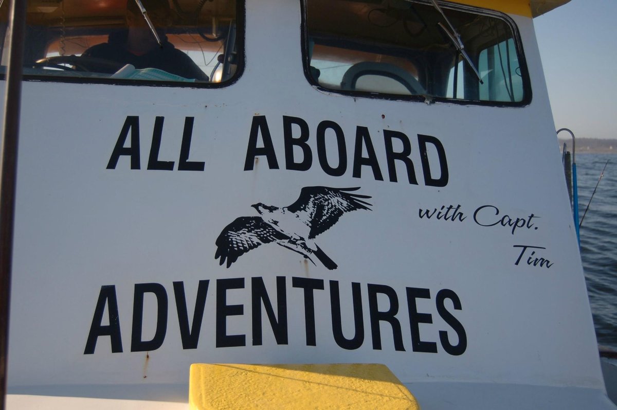 All Aboard Adventure (Fort Bragg) - 2022 Lo que se debe saber antes de 