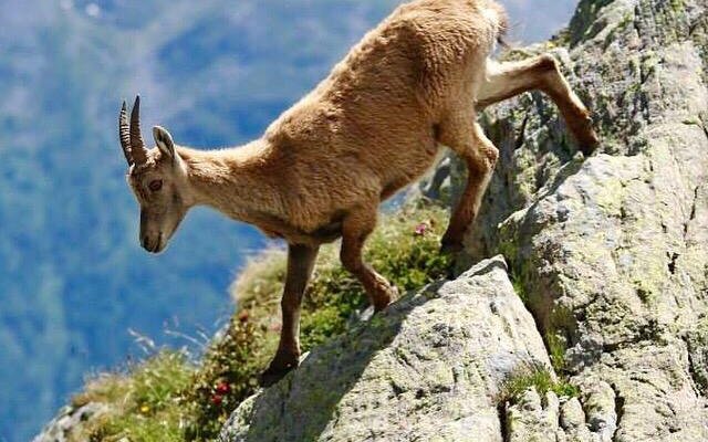 Reserve naturelle des Aiguilles Rouges