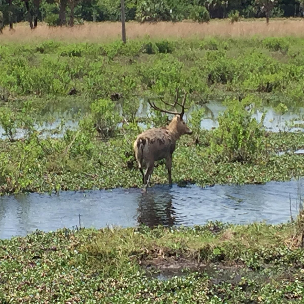 Fox Brown Outfitters (Indiantown, FL): Address, Phone Number - Tripadvisor