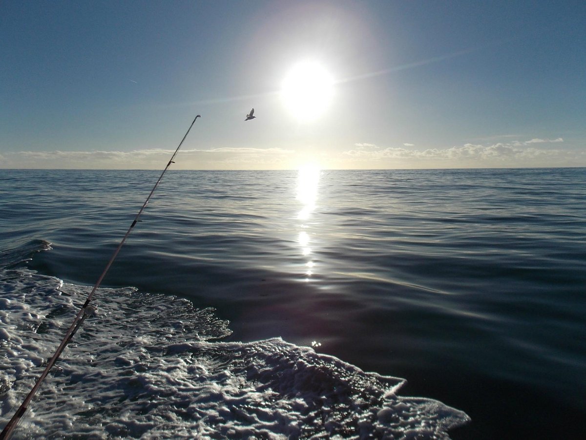 glandore harbour yacht club photos