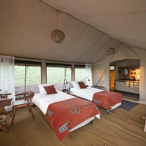 Guest tent twin room