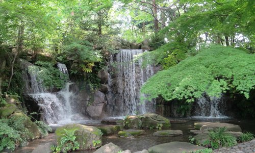 郷土の森にある滝