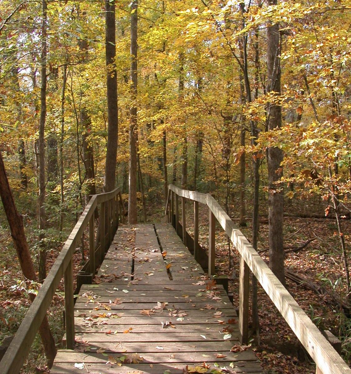 Collection 92+ Pictures walter b jacobs memorial nature park photos Sharp