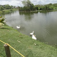 Lago
