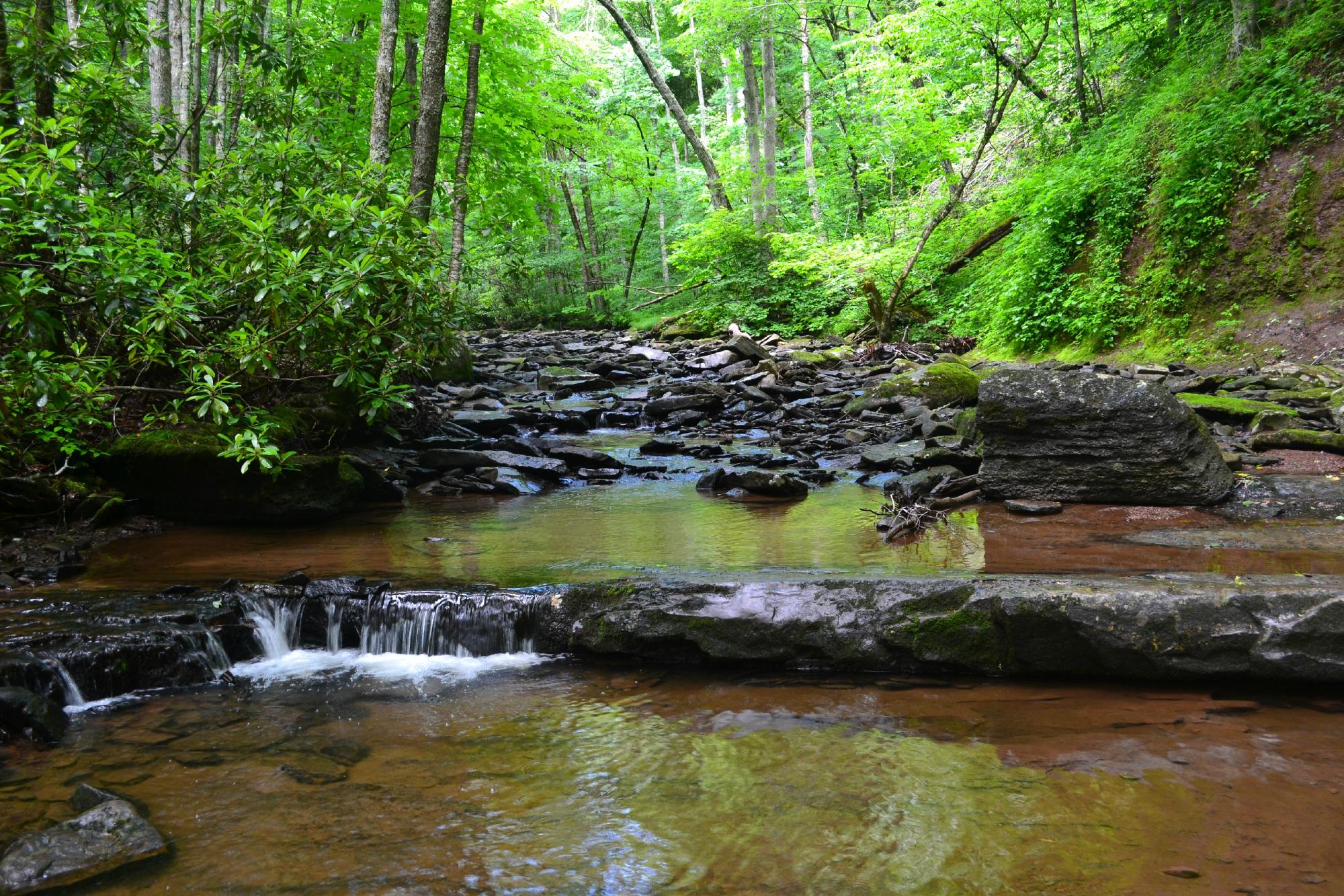 THE 15 BEST Things To Do In West Virginia - 2024 (with Photos ...