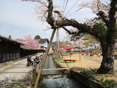 真室川町 旅行 観光ガイド 23年 トリップアドバイザー