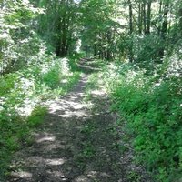 Airline State Park Trail - All You Need to Know BEFORE You Go (2024)