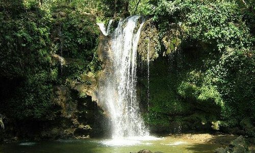 Nature at its best in Corbett