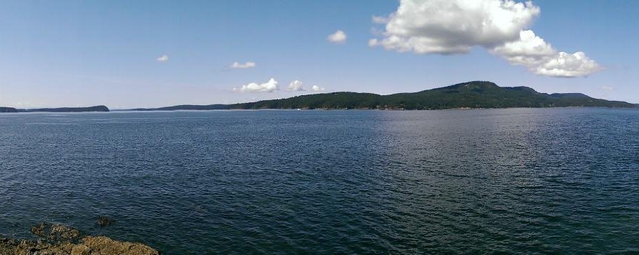 View of the bay from the loop trail