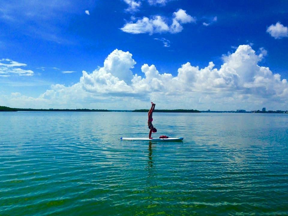 Paddle Out Adventures (Clearwater) - All You Need to Know BEFORE You Go