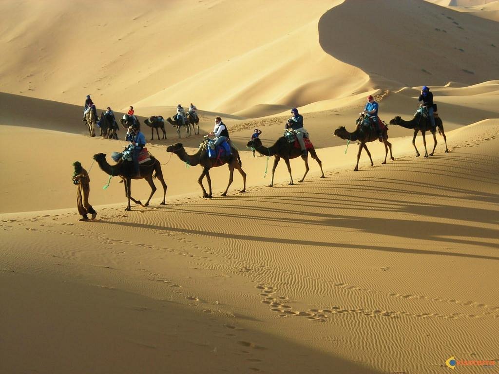 sahara experience tours