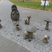 Грибная полянка