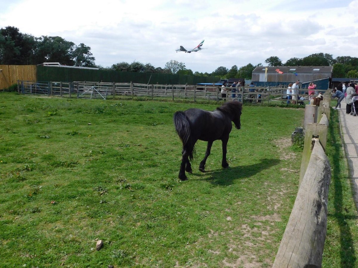 HOUNSLOW URBAN FARM (Feltham) - Qué SABER antes de ir (2025)