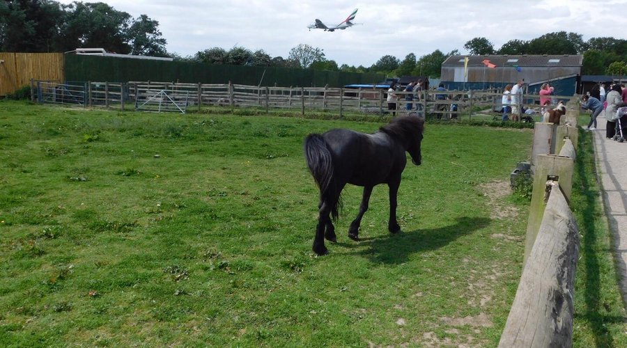 HOUNSLOW URBAN FARM (Feltham) - Qué SABER antes de ir (2025)