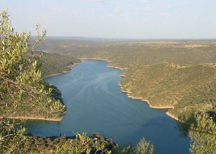 Panorama