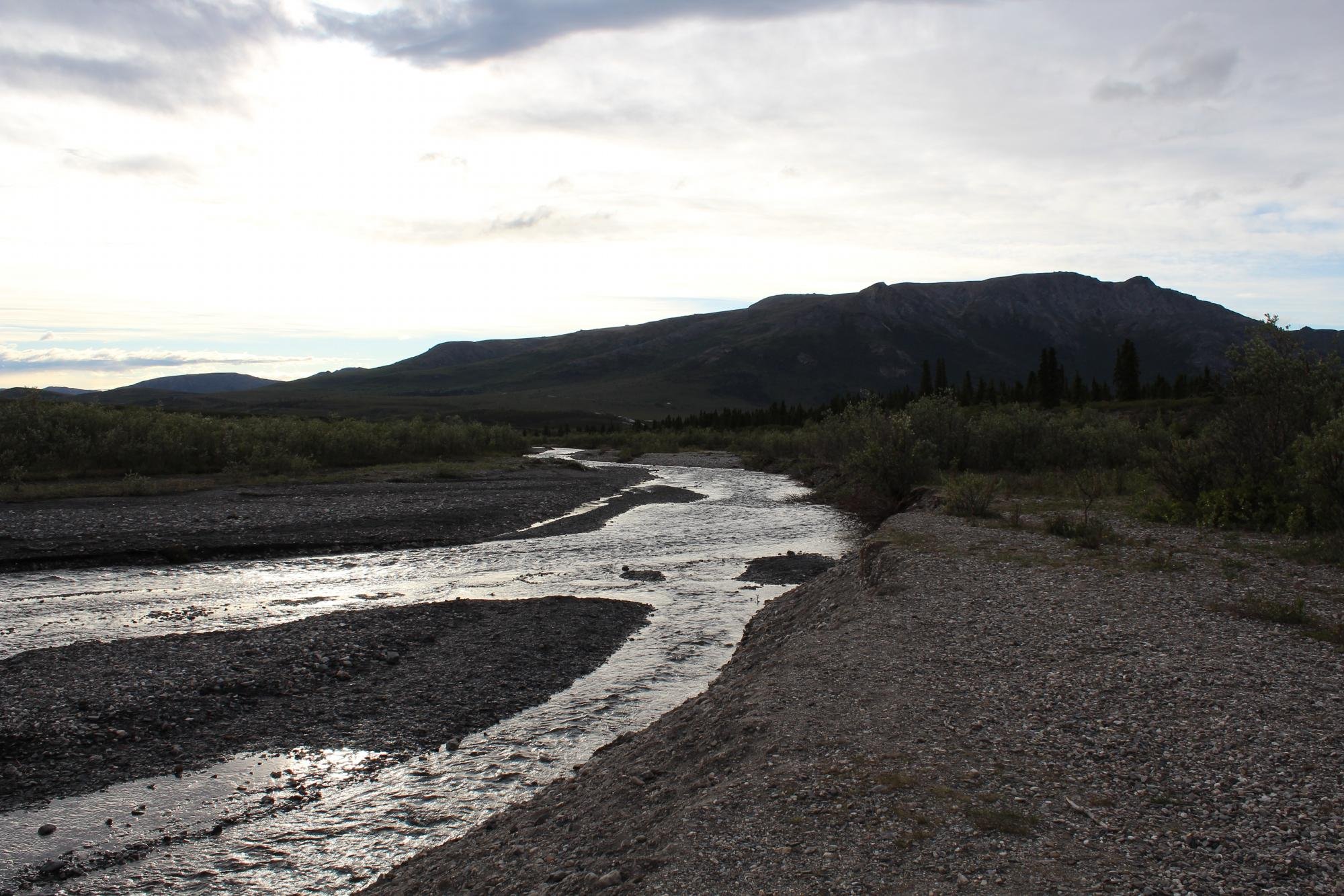 Savage River Campground by null