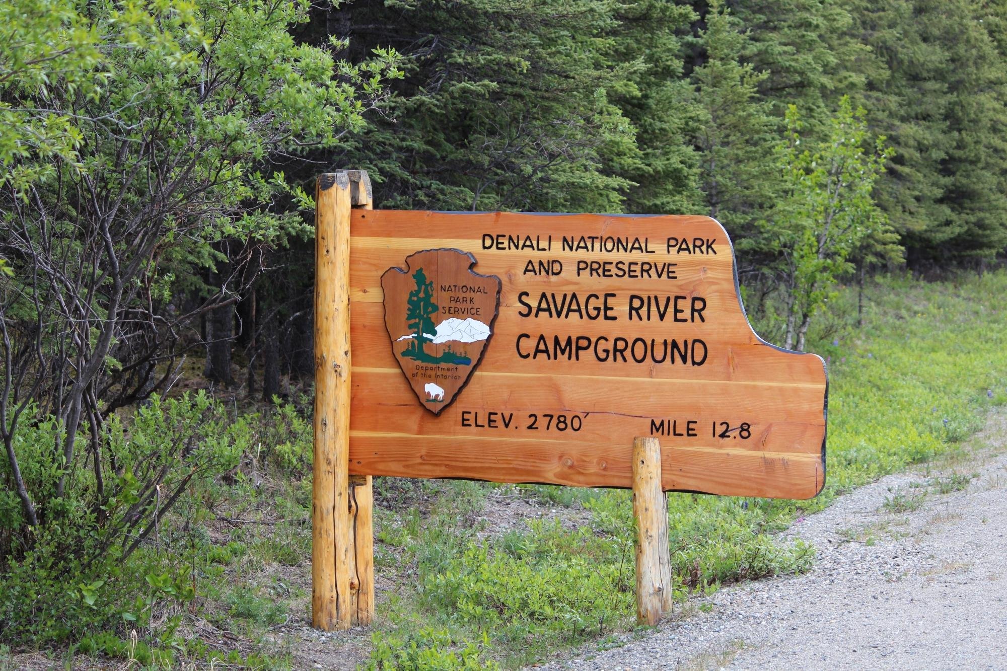Savage River Campground by null