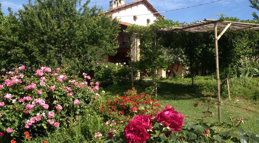 Casa Isabella from the pool