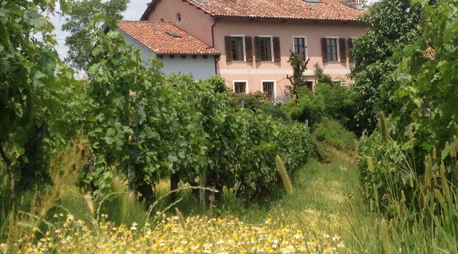 House from vineyards