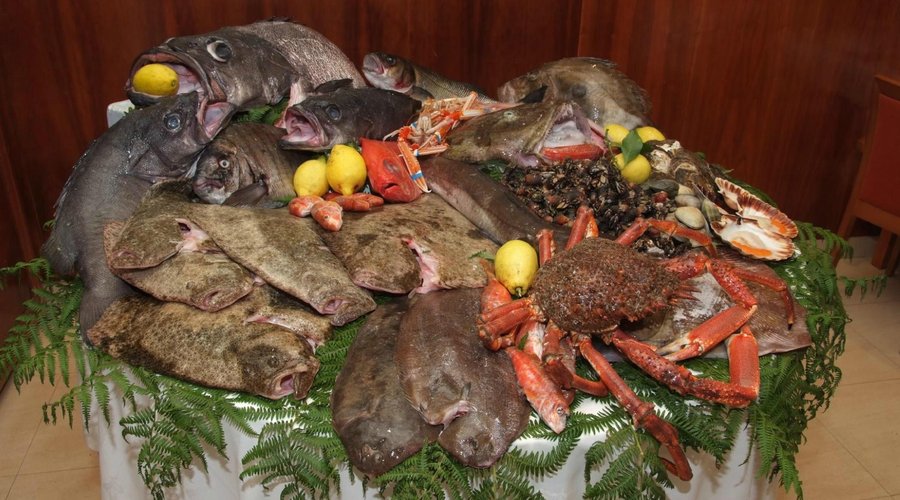Exposición de piezas de la Ría de Arousa