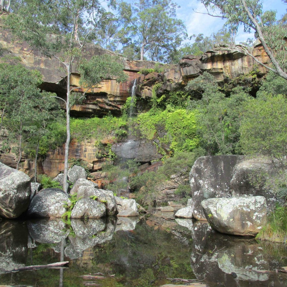 blackdown-tableland-national-park-queensland-ce-qu-il-faut-savoir