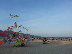 Bể bơi & Bãi biển