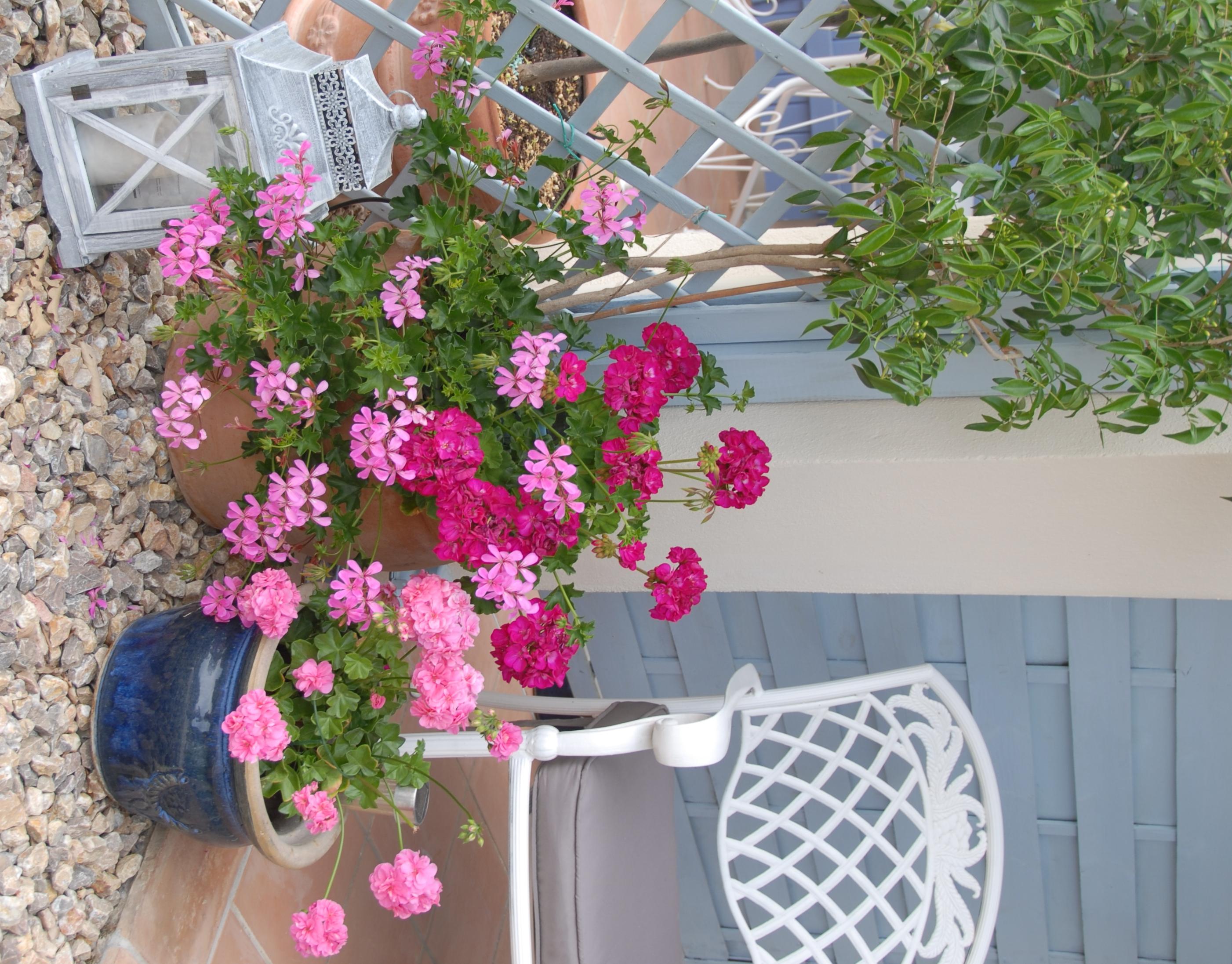 Hotel photo 9 of Maison des Lavandes.