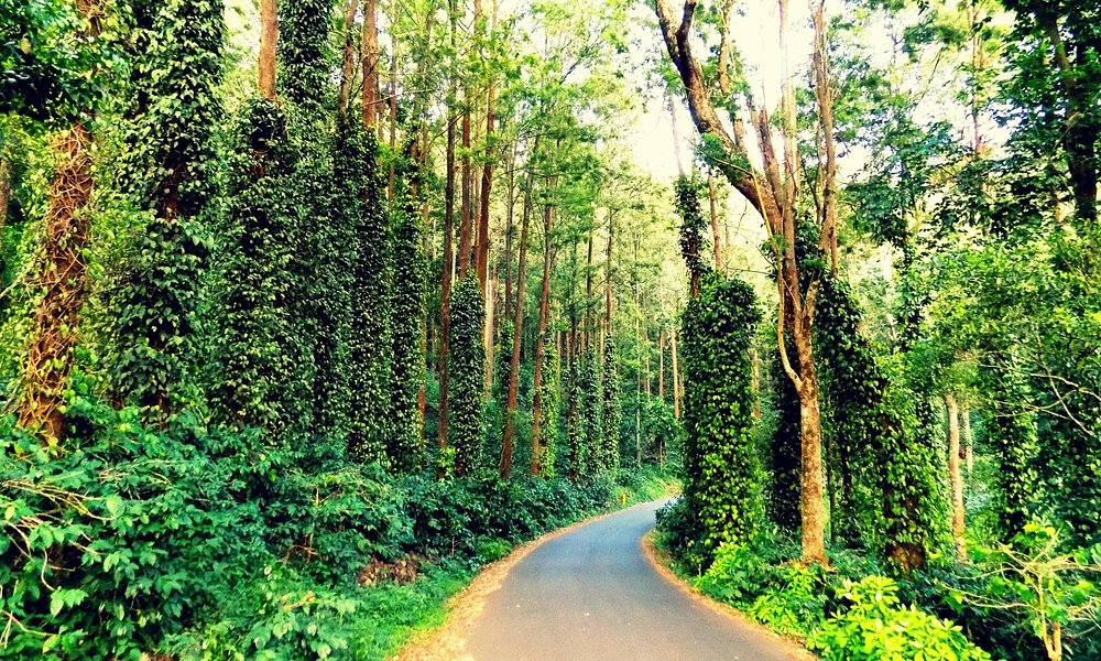 yercaud tamil nadu tourism