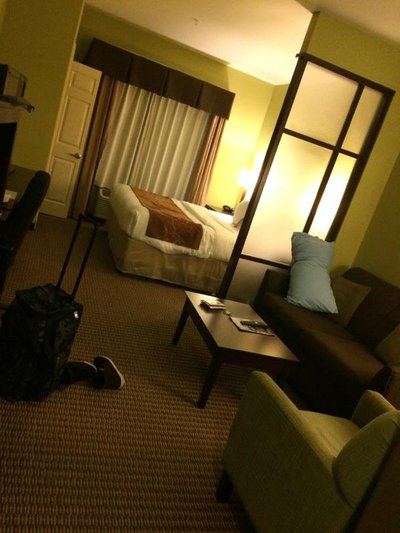 Hotel photo 10 of Comfort Suites Harvey - New Orleans West.