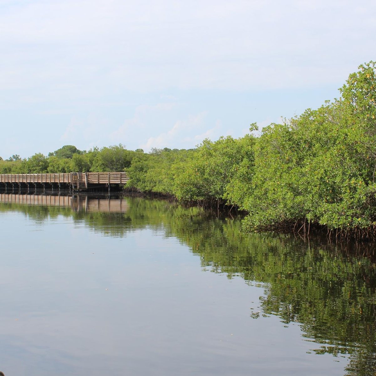 Nature Parks In Tampa Fl