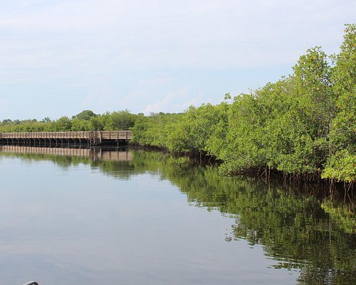 parques naturales en tampa fl