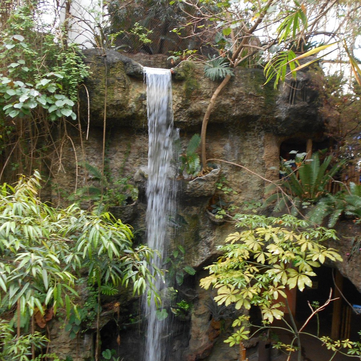 The Dallas World Aquarium - Dallas WorlD Aquarium