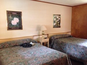 Room & Suite