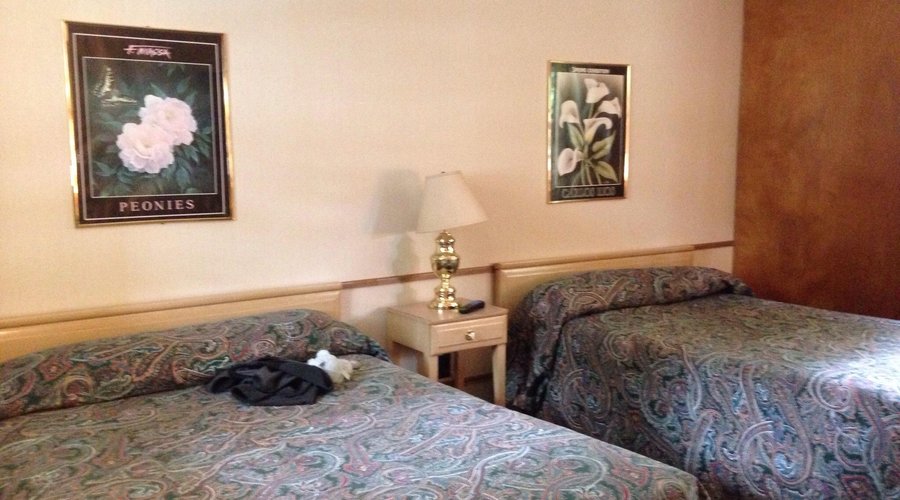 Room #1. 2 doubles beds. No refrig. Just the basics.