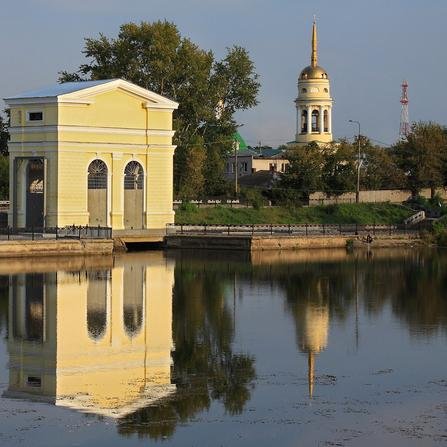 Прострел уральский фото